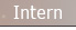 Intern